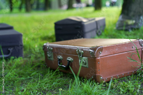 Vintage luggage placed on green grass in a serene outdoor setting during bright daylight