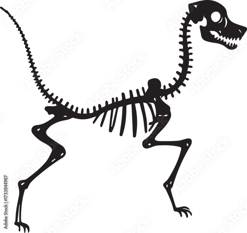 tyrannosaurus rex skeleton vector fiel 