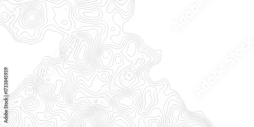 Abstract background with a wave grid map and topography map and seamless pattern with lines White wave paper curved reliefs abstract background, Abstract topographic contours map background.	
