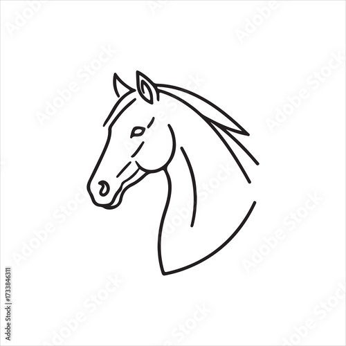 Horse head line art vector illustration equestrian profile portrait, logo-style stallion outline and mane detail design