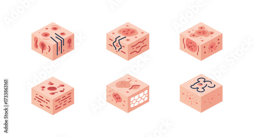 Isometric set of biological cell structure diagrams in geometric cubes