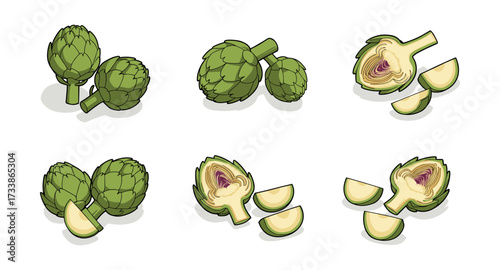 Fresh artichoke set with slices and halves on white background
