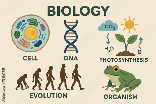 Biology Education Illustration — Cell, DNA, Photosynthesis, Evolution, Organism