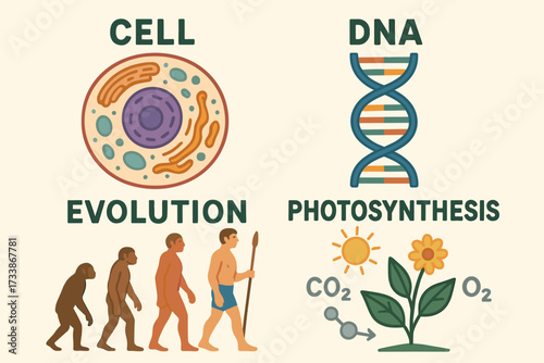 Biology Education Illustration — Cell, DNA, Photosynthesis, Evolution, Organism