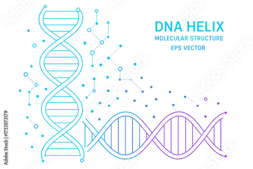 DNA helix molecular structure illustration — genetic science concept with double helix strand and molecular connections for biology, medicine, and biotechnology design