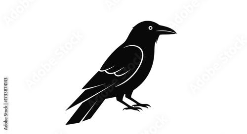 Black silhouette of a crow standing, facing right, on a white background.