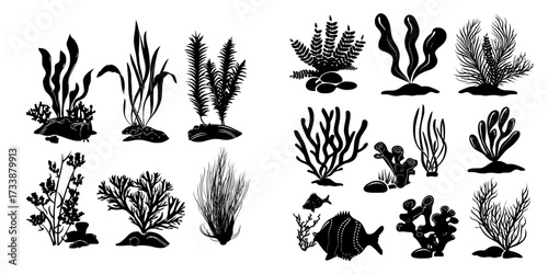 Tropical sea plants, corals, and reef animals, including seaweed, comprise a modern cartoon set of underwater ocean fauna and algae on a white background