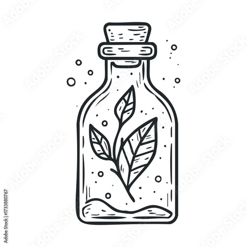 Vintage glass bottle with leaves in a classic design for decoration. Vector hand drawn illustration

