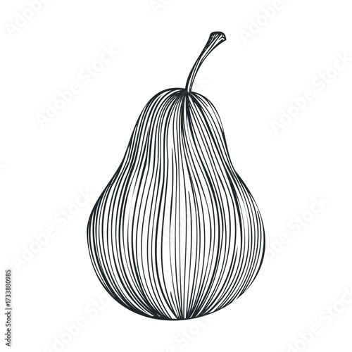 Detailed sketch of a pear showcasing intricate lines and texture. Vector hand drawn illustration

