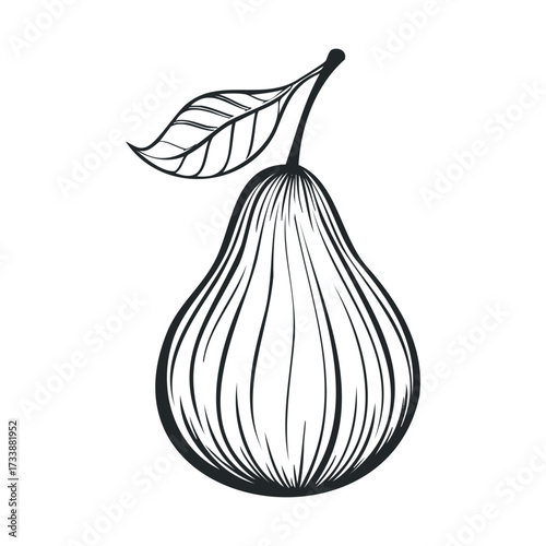 Outline of a pear with a leaf for kitchen decor and print designs. Vector hand drawn illustration

