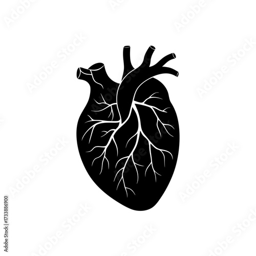 human heart glowing with arteries