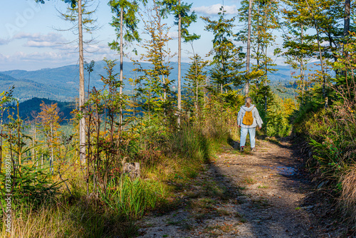Fototapeta Naklejka Na Ścianę i Meble -  Na szlaku turystycznym w górach. Beskid Śląski latem