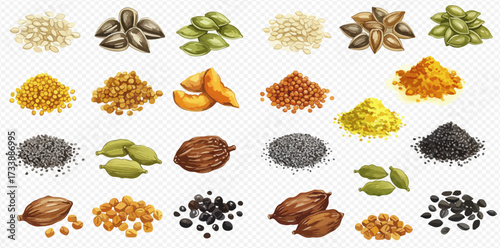 Various seeds and spices are arranged in small piles on a transparent background, showcasing a variety of colors and textures.