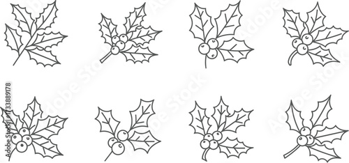 Set of eight holly berry branches, for Christmas designs