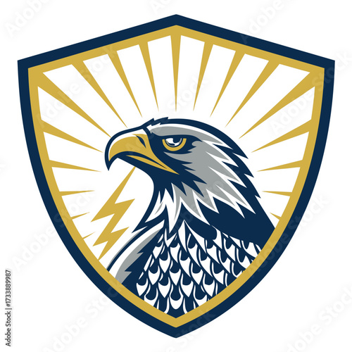The eye of providence is displayed on a shield with radiating lines.