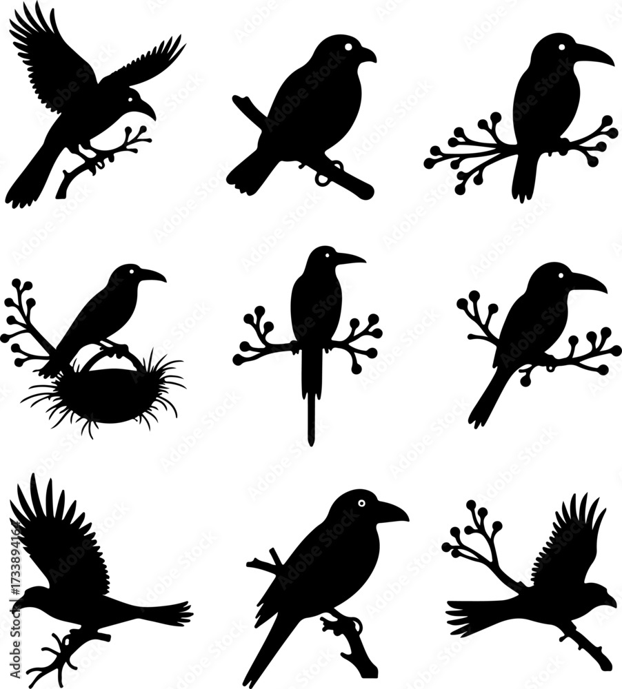 Fototapeta premium Tropical Bird Silhouette Set (Toucan and Hornbill-like)