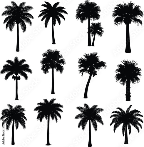 Tropical Palm Tree Silhouette Collection – Minimal Vector Icons Isolated on White Background