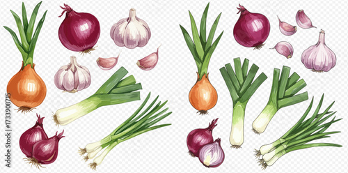 Watercolor illustration of various allium vegetables: onions, garlic, leeks, and scallions.
