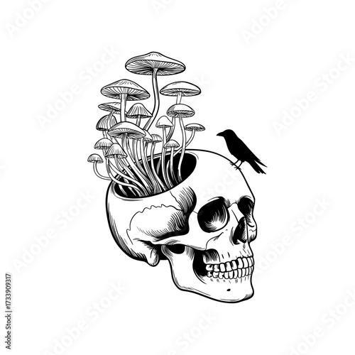 Skull and Vintage Tattoo T-shirt Vector Designs and Edgy, Punk-Inspired Graphics & Retro Tattoo Illustrations for Custom Graphic Tees-09
