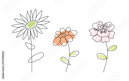 Minimalist line in three simple flowers  a  art style
