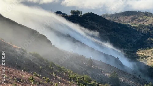 Misty Mountain Landscape
