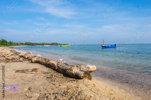 Tropical beach in a fishing village with boats docked and a tree trunk on the shore under a blue sky