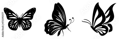 The decorative design features an abstract seamless pattern of monarch butterfly contours set against a white background, accompanied by a closeup design element of a black butterfly and a modern