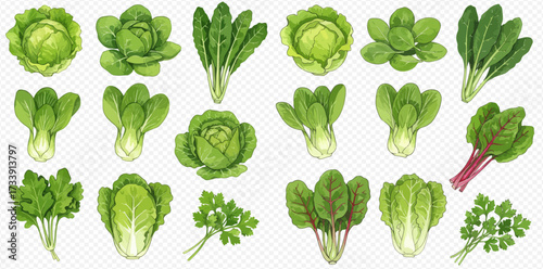 A variety of fresh green leafy vegetables and herbs are arranged in a grid pattern.