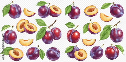 Illustration of plums, whole and sliced, with leaves, on a transparent background.