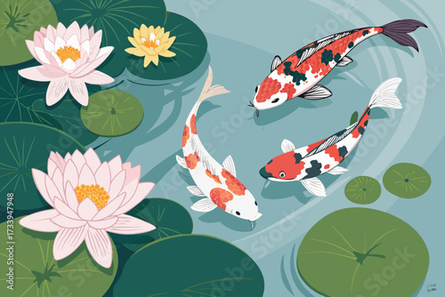 Featuring Koi Fish Pond With Lotus Flowers Bold Aqu Crisp Creative Visual