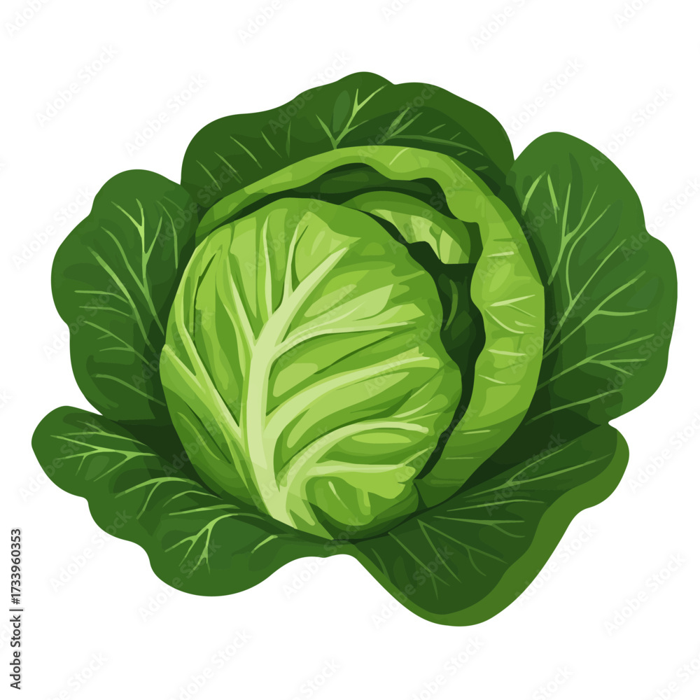 Obraz premium Minimal flat vector of a Cabbage Leaf, 2D icon-style illustration on white background