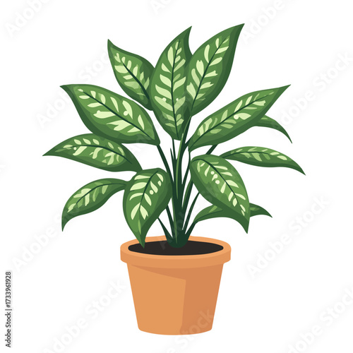 2D flat vector illustration of a Chinese Evergreen in icon style, isolated on white background