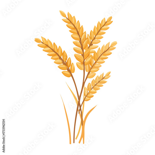 2D flat vector illustration of a Barley in icon style, isolated on white background