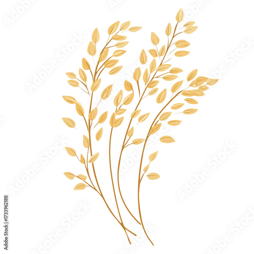 Flat 2D Oats illustration, vector graphic in icon style, on white background