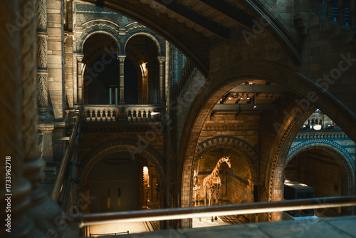 Canvas Print Gothic Architecture Of The Natural History Museum