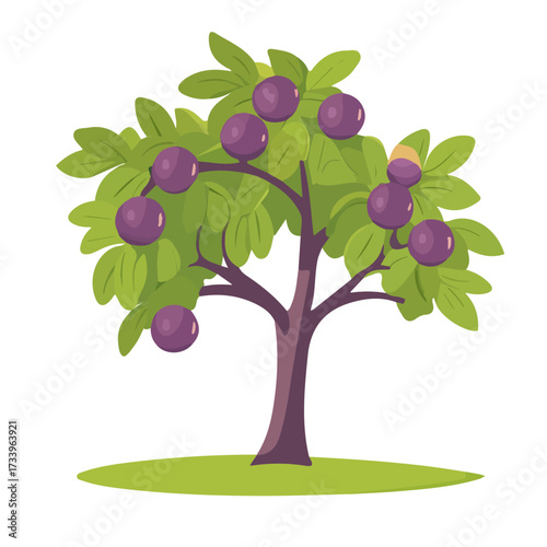 Minimal flat vector of a Plum Tree, 2D icon-style illustration on white background
