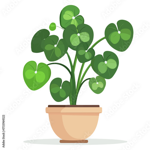 Flat 2D Chinese Money Plant illustration, vector graphic in icon style, on white background
