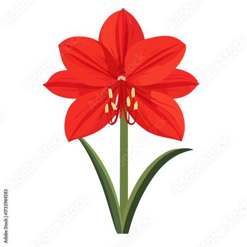 Flat 2D Amaryllis Flower illustration, vector graphic in icon style, on white background