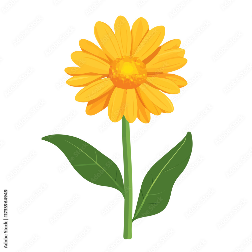 Naklejka premium Calendula, flat style 2D vector image, isolated on a white background