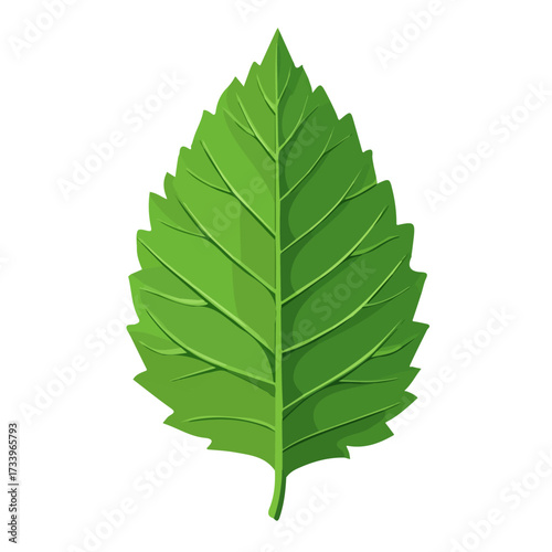 Minimal flat vector of a Slippery Elm, 2D icon-style illustration on white background