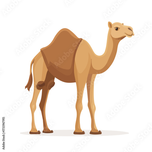 Camel, flat style 2D vector image, isolated on a white background