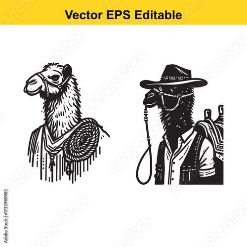 Two camel heads, one with a rope, the other wearing a hat, isolated on white background