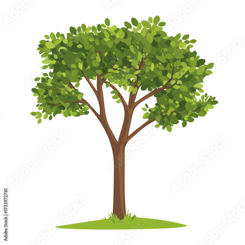 2D flat vector illustration of Indian Sandalwood Tree, designed in a clean icon style and isolated on a white background.