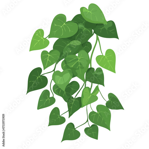 Photos 2D flat vector illustration of a Kudzu in icon style, isolated on white backgrou