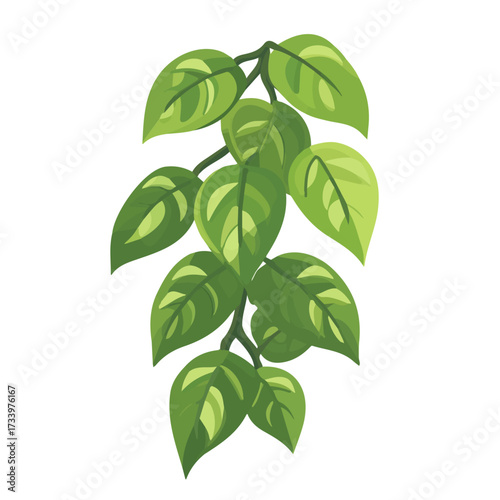 Tablou pe pânză Flat 2D Kudzu illustration, vector graphic in icon style, on white background