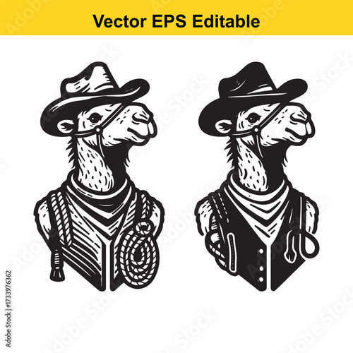 Two cowboy camels wearing hats and vests, isolated on white background