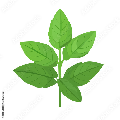2D flat vector illustration of a Holy Basil in icon style, isolated on white background