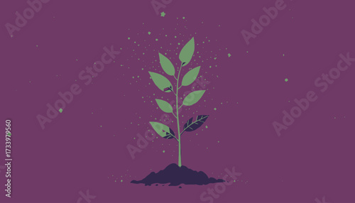 plant grow vector