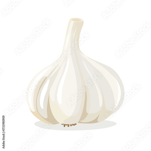 Garlic, 2D flat vector illustration, simple and modern style, isolated on a plain white background.