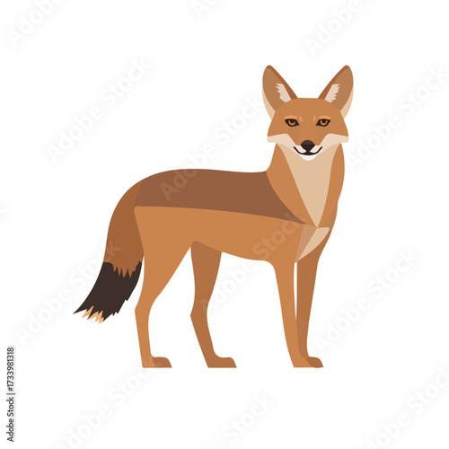 Minimal 2D vector illustration of Jackal in flat icon style on a plain white background.